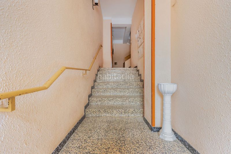 Foto b1c5b5a6-8a66-493b-a228-6df2c90aaef3. Pis a Barbastro