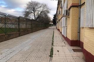 Pis  Jose maria pereda. Solvia inmobiliaria  piso linares