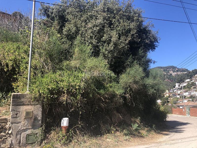 Foto 83157231-d6a2-4080-8bda-90977eb8b7ca. Fondo rustico in Corbera de Llobregat