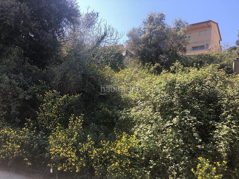 Foto 95ce0e27-e3f5-49bc-a782-07f960d008f5. Fondo rustico in Corbera de Llobregat