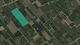 Finca rústica  Pl 46 parcela 19. Solvia inmobiliaria  suelo rústico carcaixent