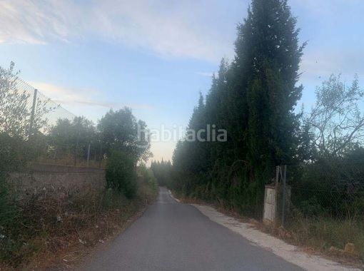 Foto 06535766-bdfb-4973-bc0f-8c0fc88298d2. Finca rústica solvia inmobiliaria terreno con edificación en Turís