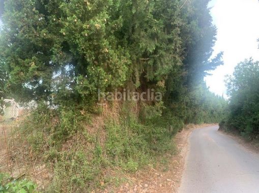 Foto a2f6ef48-fcae-4a7a-8ad5-89b3e5874928. Finca rústica solvia inmobiliaria terreno con edificación en Turís