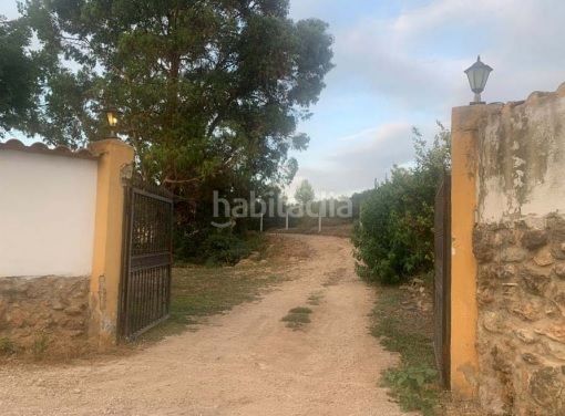 Foto e5f0a5bd-d417-44e4-bd34-b5518e54f903. Finca rústica solvia inmobiliaria terreno con edificación en Turís