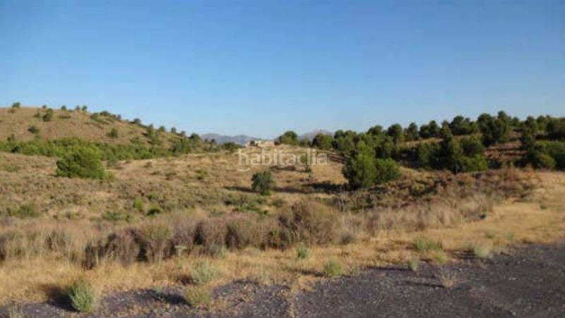 Foto d6c6a0e8-da13-46fe-978d-dfee3087b8af. Finca rústica a Jarales Lorca