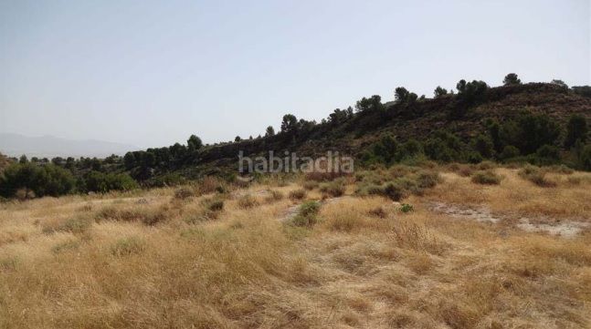 Foto 50d3a750-7719-48ef-bde1-c2f99cb65f88. Finca rústica a Parrilla Lorca