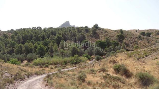 Foto 8885fb57-071e-4364-804d-1bdeb8910836. Finca rústica a Parrilla Lorca
