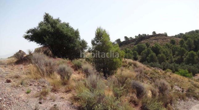 Foto b11eb7b2-df17-40c8-a676-f4b7b7d1a753. Finca rústica a Parrilla Lorca