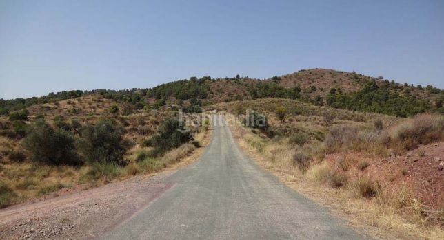 Foto b75906c8-a8e5-473c-8740-e60cc85be93c. Finca rústica a Parrilla Lorca