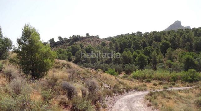 Foto d55f8a52-70ee-44c8-b535-b2dcdc55ffac. Finca rústica a Parrilla Lorca