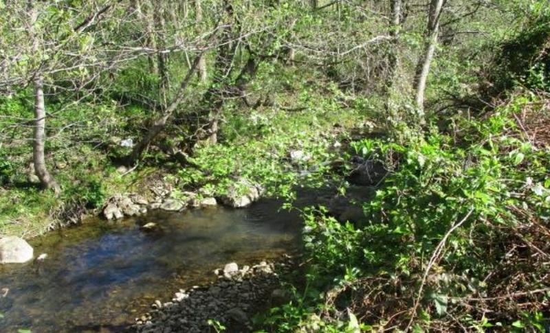 Foto d0cde512-775f-4da6-bfe7-4eb4bfde1297. Finca rústica a Otañes-Talledo Castro - Urdiales