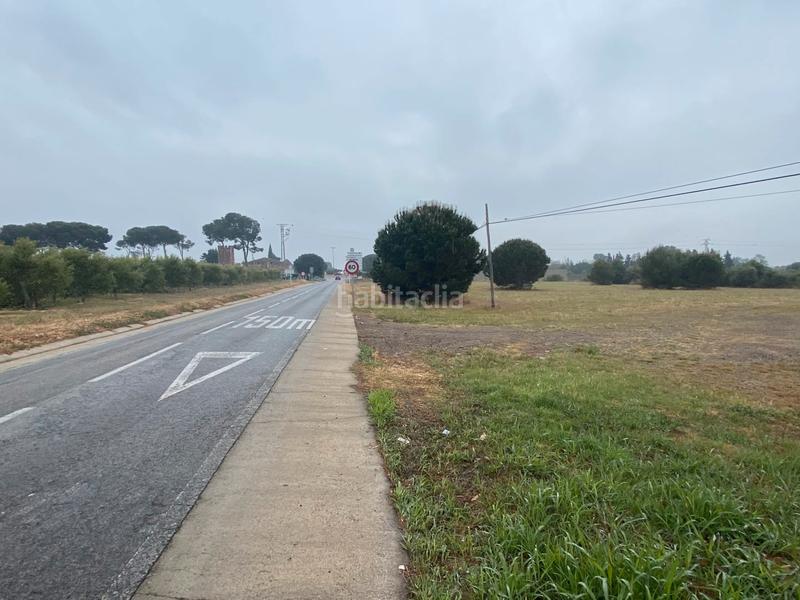 Foto 254c0914-9bd2-4c32-ac40-1a8e4dd4d721. Fondo rustico in Montbrió del Camp