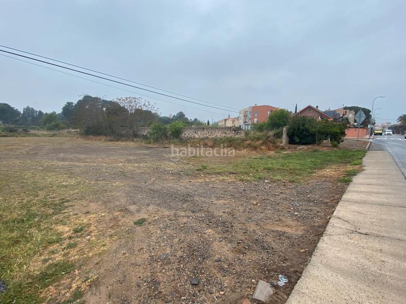 Foto fdd33122-2d99-4725-a0bb-edcd3634d26e. Fondo rustico in Montbrió del Camp