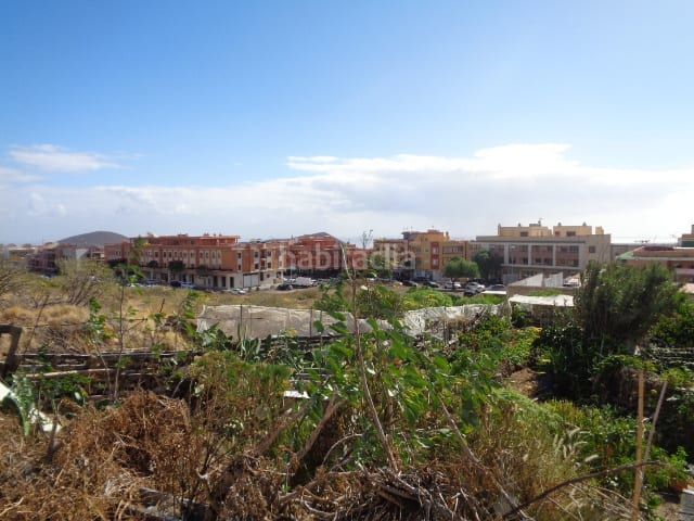 Foto a1880f03-6185-45b5-8591-7c74dfc0aca8. Finca rústica a San Isidro Granadilla de Abona