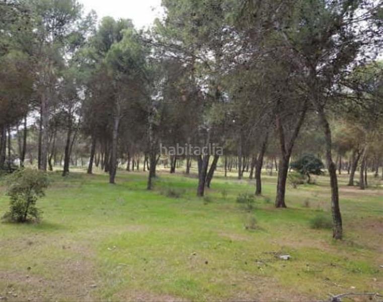 Foto c3be808d-0882-48d6-bb34-27e665bba762. Finca rústica solvia inmobiliaria suelo otros en Atarfe