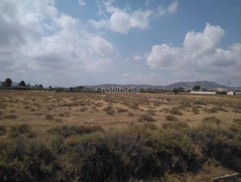 Foto 56ea5435-67d7-4361-a7b0-c1c1ec7ded72. Finca rústica a Jumilla