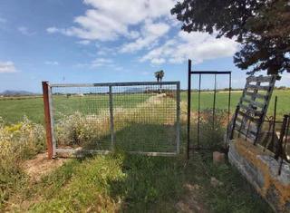Propriété  C/ almadrava. Solvia inmobiliaria  suelo rústico pollença