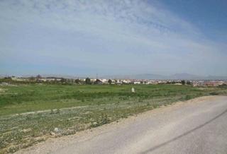 Finca rústica  Esparraguera (de la). Solvia inmobiliaria  suelo otros alguazas