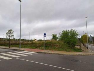 Finca rústica  Albalat. Solvia inmobiliaria  solares cabanes