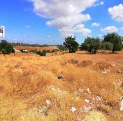 Finca rústica  Bernal diaz del castillo. Solvia inmobiliaria  suelo otros alcalá de guadaira