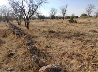 Finca rústica  Las viñas. Solvia inmobiliaria  suelo otros villanueva de la fuente