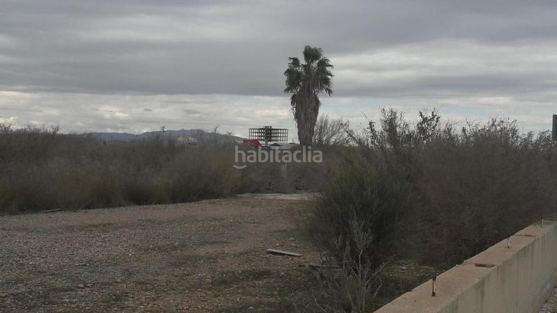 Foto 1ab2d0f0-3b7d-4f45-9773-e2c7521477d7. Finca rústica a El Palmar Murcia
