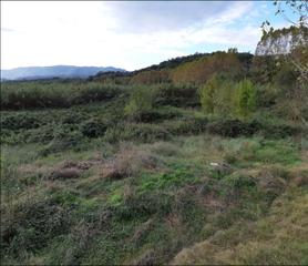 Finca rústica  Can guilleumes. Solvia inmobiliaria  suelo otros breda