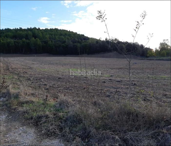 Foto de150261-cffb-436a-a9e4-bb073fd8b6ba. Landgut in Breda