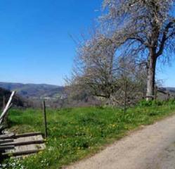 Finca rústica  4. Solvia inmobiliaria  suelo otros santa eulalia de oscos