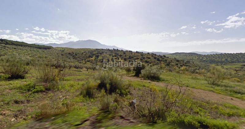 Foto f28c8c1b-14f4-4c9c-800a-7efe517d2630. Finca rústica a Viñuela