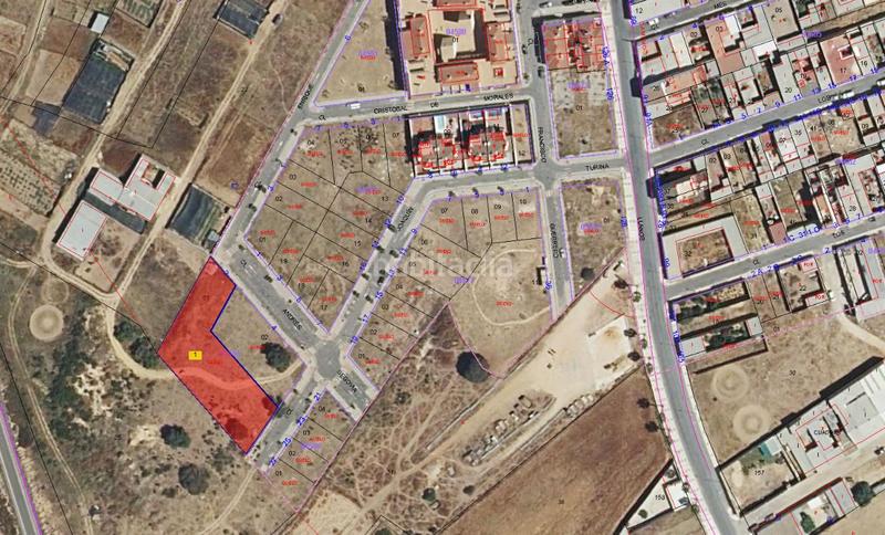 Foto a311b479-2543-4d76-a2a0-d7b9d5f0defc. Finca rústica solvia inmobiliaria solares en Almonte Almonte