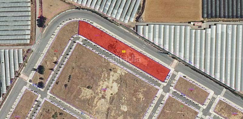 Foto 4fa0b7e4-d77c-4109-8cbc-7e8d0042ba0d. Finca rústica a Lepe