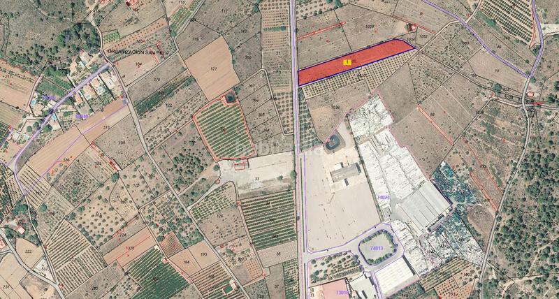 Foto a7cd0da6-4552-499a-b823-fad938c59cb2. Fondo rustico in Estivella