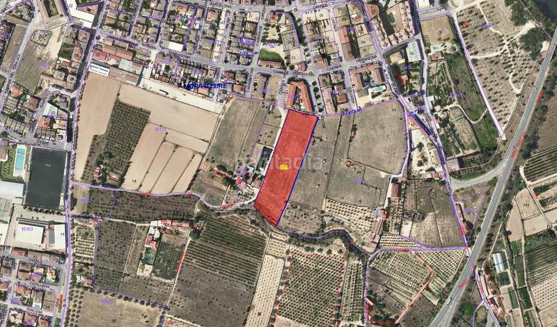 Foto 757f5287-1d01-4742-a41f-fb59e196b9bc. Finca rústica solvia inmobiliaria suelo otros móra debre en Móra d´Ebre