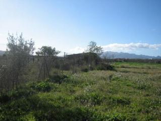 Finca rústica  Colomes (les). Solvia inmobiliaria  suelo otros móra debre