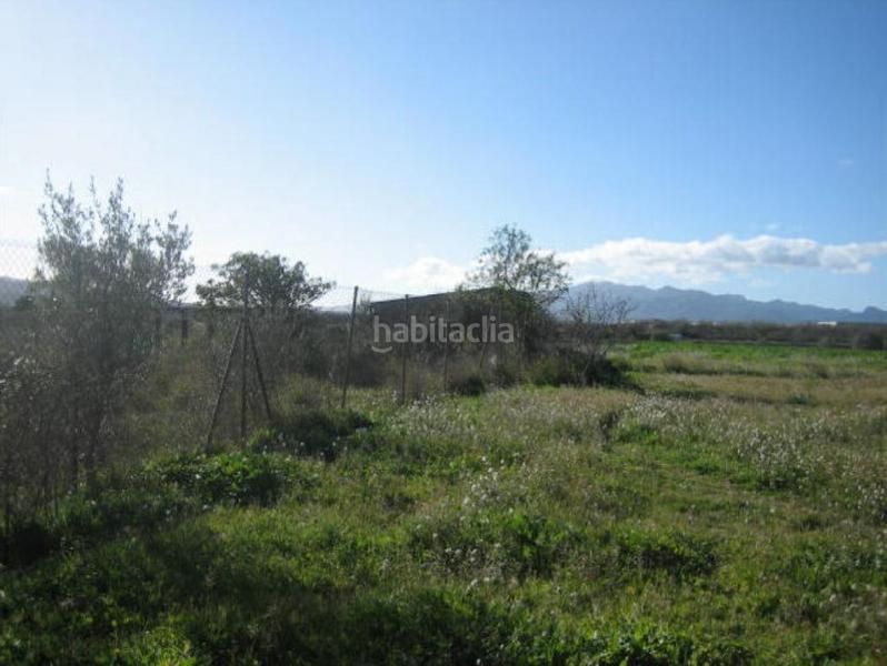 Foto 7a08be43-553e-46da-9c7b-29caee3cf71f. Finca rústica solvia inmobiliaria suelo otros móra debre en Móra d´Ebre
