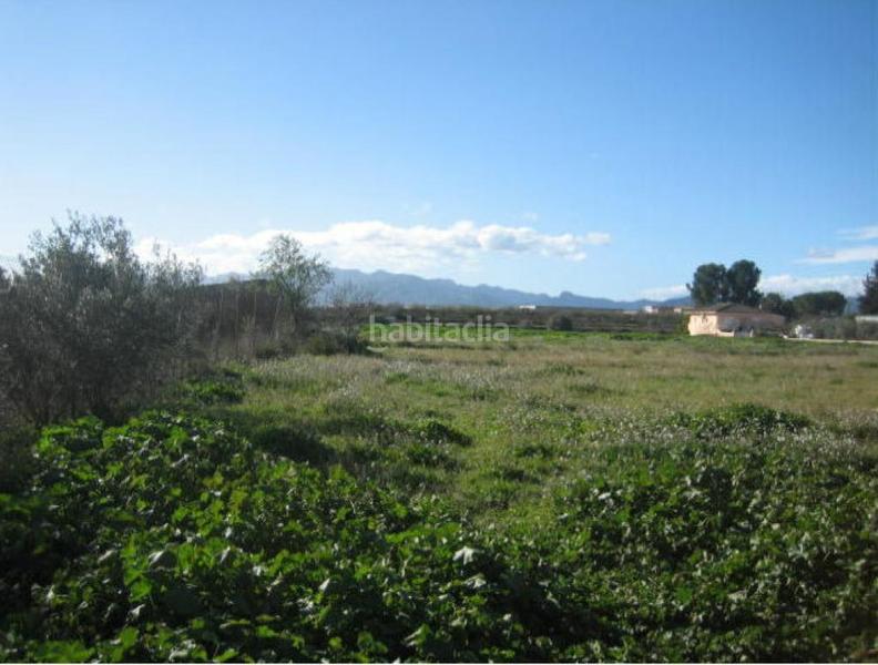 Foto fff07896-12ff-4523-a536-167cf47e04e5. Finca rústica solvia inmobiliaria suelo otros móra debre en Móra d´Ebre