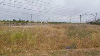 Finca rústica  Montortal. Solvia inmobiliaria  suelo otros algemesí