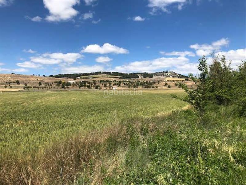 Foto 0cfe1961-ba63-41e7-a4f4-1054d7b9abda. Finca rústica solvia inmobiliaria suelo urbanizable sectorizado en Simancas