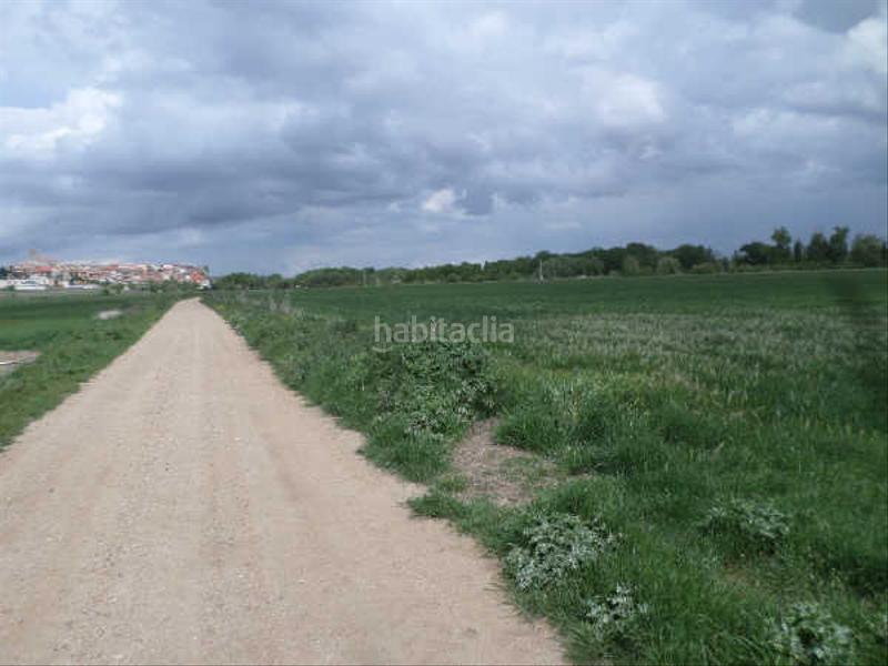 Foto 1c01e7ca-fbd6-4e7a-9090-f7071718f66d. Finca rústica solvia inmobiliaria suelo urbanizable sectorizado en Simancas