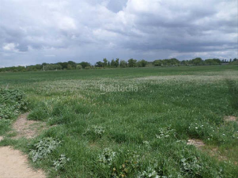 Foto 6ff38b31-4ae7-48a8-9c88-5bc4e228baa3. Finca rústica solvia inmobiliaria suelo urbanizable sectorizado en Simancas