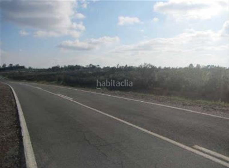 Foto ab977de7-eb5c-447a-b91b-2dcf59a36e52. Finca rústica a Niebla