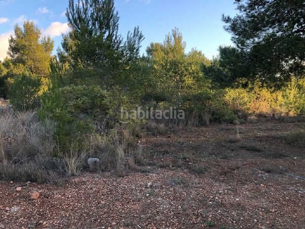 Foto 912043c3-2835-4e73-be09-aa1cd822bd6f. Finca rústica a Estivella