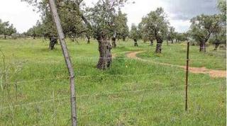 Finca rústica  Pr el urraco. Solvia inmobiliaria  suelo rústico beas