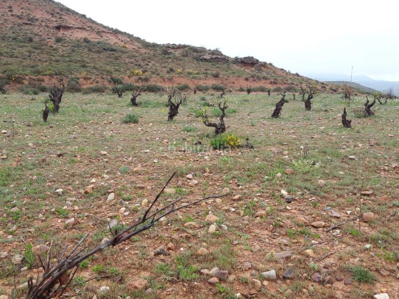 Foto 119612f9-7396-463b-8e1d-273835b53d29. Finca rústica solvia inmobiliaria suelo rústico en Cervera de la Cañada