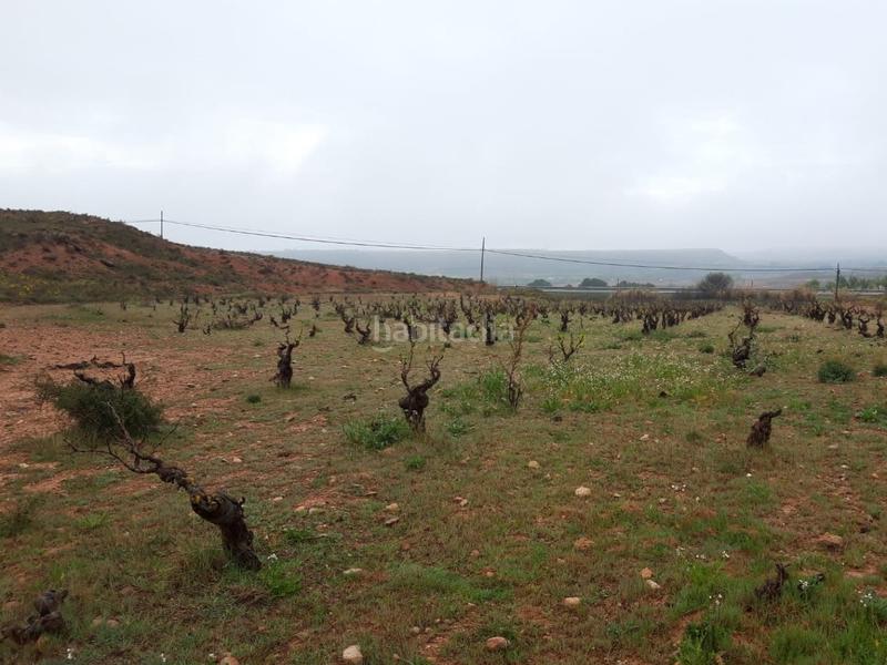 Foto 6a67614d-03d4-464a-a66e-7f93e24a80b8. Finca rústica solvia inmobiliaria suelo rústico en Cervera de la Cañada