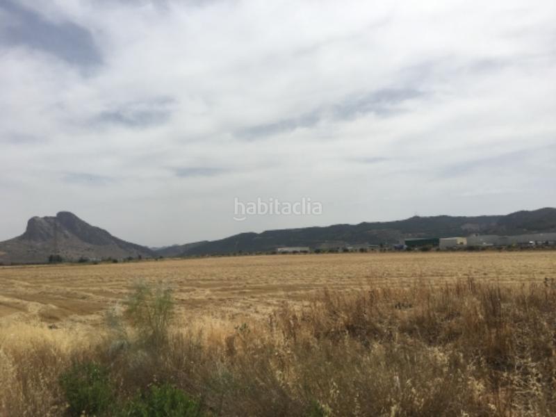 Foto f7530003-63a5-495b-b59d-c5b987ae7a21. Propriété dans Alcaudete