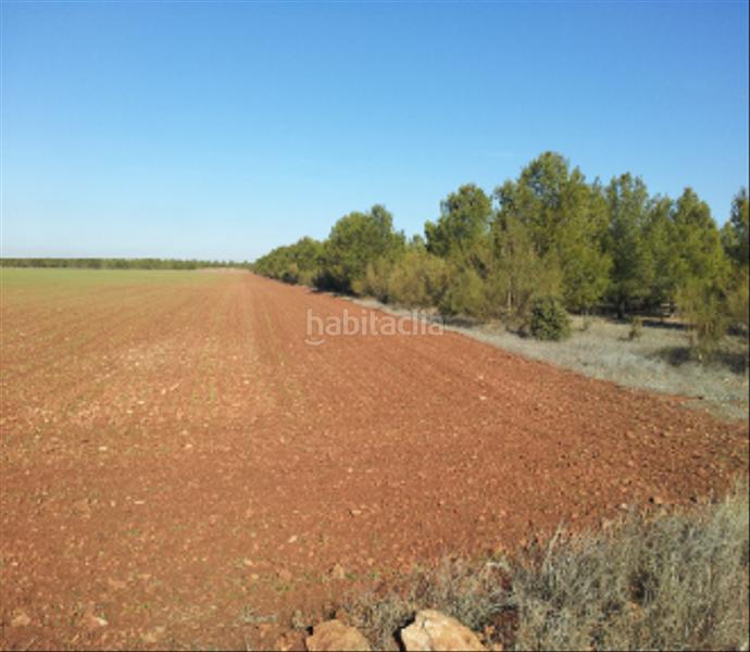 Foto 110cc0bc-125b-4929-8c6a-cbf4d43cef40. Landgut in Tomelloso