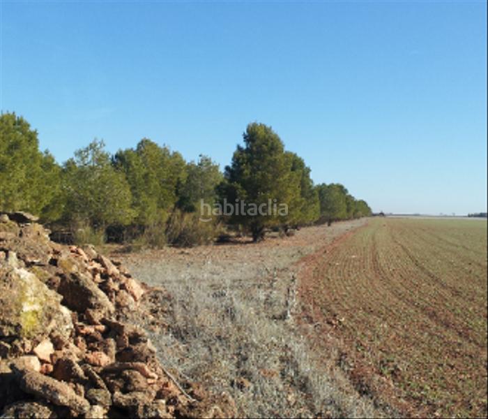 Foto 226510e4-2b7a-4dd0-abbb-4d0a539dc44a. Landgut in Tomelloso