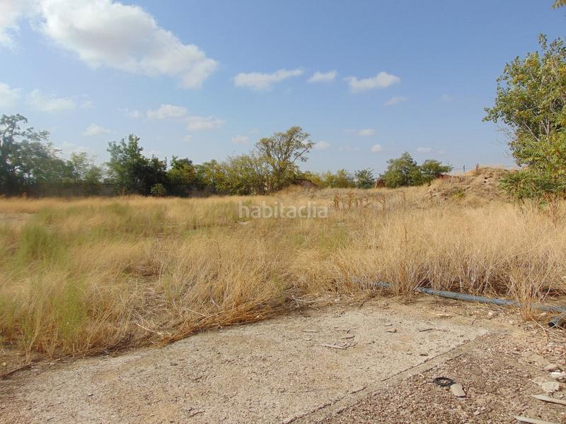 Foto 326c195d-6238-43b8-9a39-4c935ad45efc. Landgut in Tomelloso